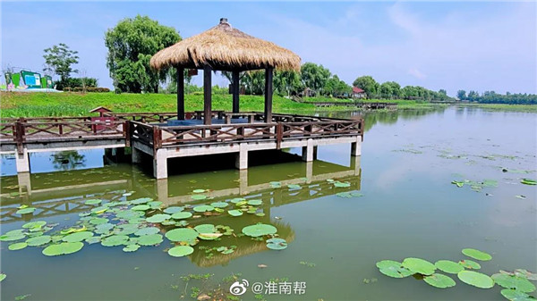 【圖說淮南】——初夏雨后的焦崗湖，暖風徐徐！