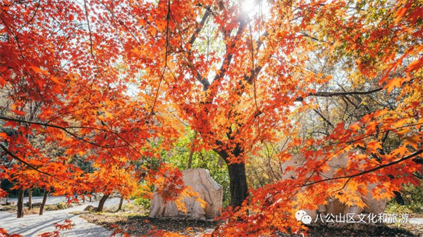 【圖說淮南】——八公山風(fēng)景區(qū)這個(gè)地方紅了！