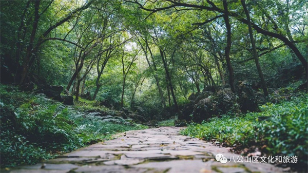 【圖說淮南】—— 早春徒步八公山，經(jīng)典路線推薦（下）